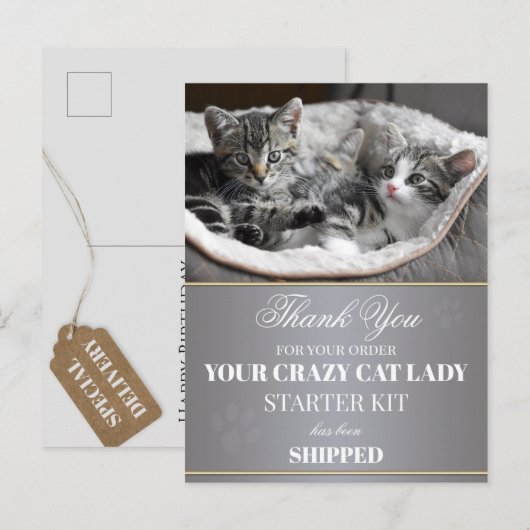 Funny Kittens Birthday Briefkaart (Voorkant / Achterkant)