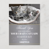 Funny Kittens Birthday Briefkaart (Voorkant)
