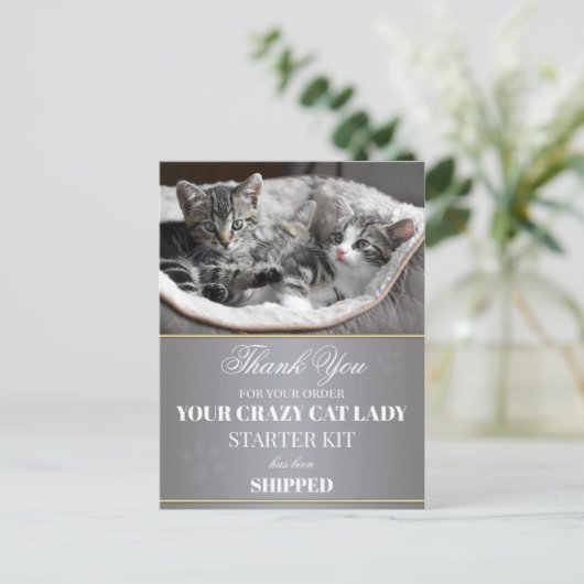 Funny Kittens Birthday Briefkaart (Staand voorkant)