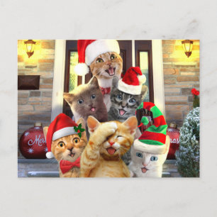 Funny kittens op kerstdag briefkaart
