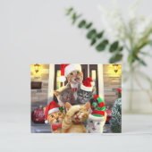 Funny kittens op kerstdag briefkaart (Staand voorkant)