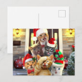 Funny kittens op kerstdag briefkaart (Voorkant / Achterkant)