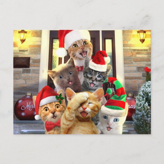 Funny kittens op kerstdag briefkaart (Voorkant)