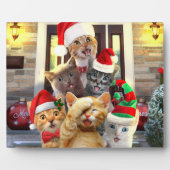 Funny kittens op kerstdag fotoplaat (Voorkant)