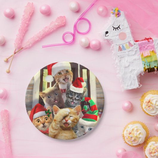 Funny kittens op kerstdag papieren bordje (Feest)