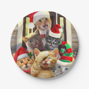 Funny kittens op kerstdag papieren bordje