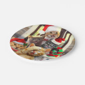 Funny kittens op kerstdag papieren bordje (Gekanteld)