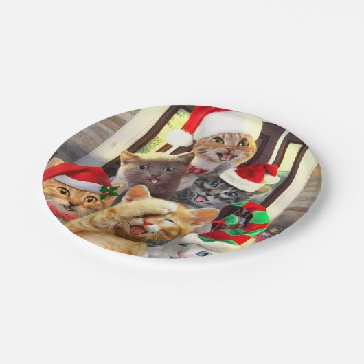 Funny kittens op kerstdag papieren bordje (Gekanteld)