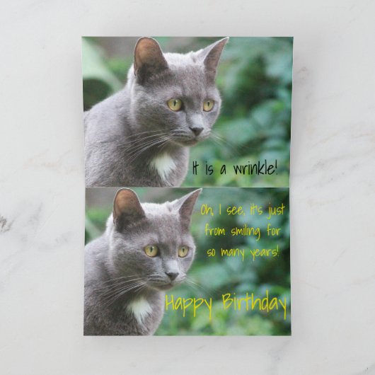 Funny Kitty Cat Kaart (Binnen)