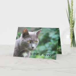 Funny Kitty Cat Kaart