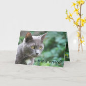 Funny Kitty Cat Kaart (Gele Bloem)