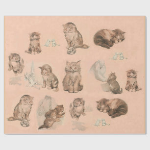 FUNNY KITTY CAT STORIES IN PINK CADEAUPAPIER