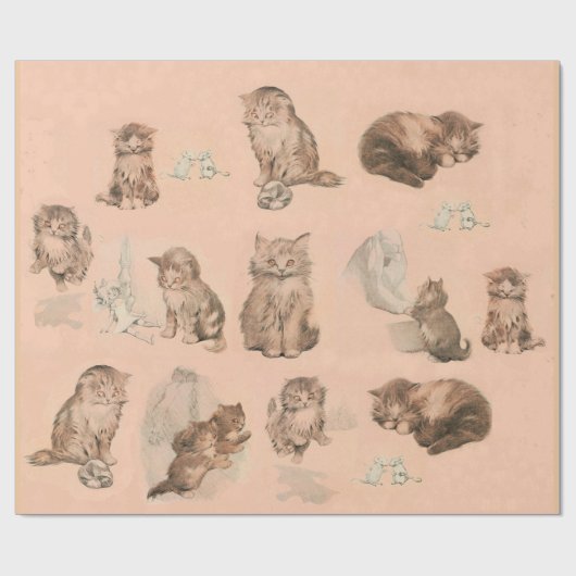 FUNNY KITTY CAT STORIES IN PINK CADEAUPAPIER (Vlak)