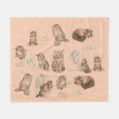 FUNNY KITTY CAT STORIES IN PINK FLEECE DEKEN (Voorkant (Horizontaal))