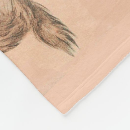 FUNNY KITTY CAT STORIES IN PINK FLEECE DEKEN (Hoek)