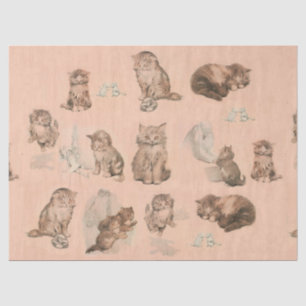 FUNNY KITTY CAT STORIES IN PINK TISSUEPAPIER