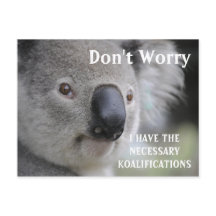 Funny Koala koalifications meme