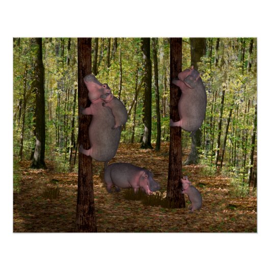 Funny Koala-Wannabe Hippos Poster (Voorkant)