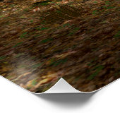 Funny Koala-Wannabe Hippos Poster (Hoek)