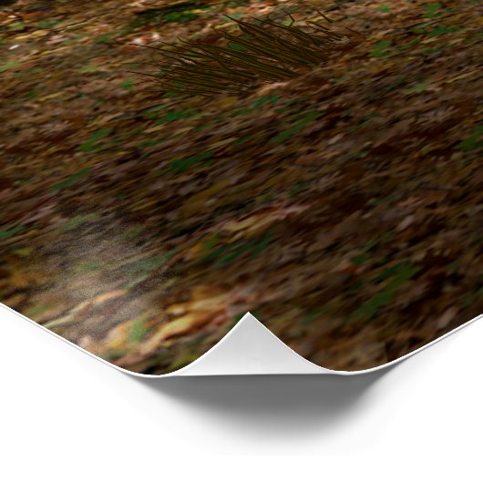 Funny Koala-Wannabe Hippos Poster (Hoek)