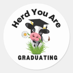 Funny Koe Afstuderen Sticker