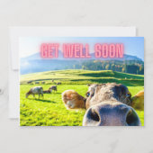 Funny Koe komt snel goed Kaart (Voorkant)