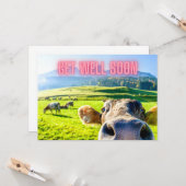 Funny Koe komt snel goed Kaart (Voorkant / Achterkant in situ)