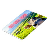 Funny Koe komt snel goed Magneet (Linkerzijde)