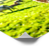 Funny Koe komt snel goed Poster (Hoek)