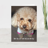 Funny krijgt een goede kaart (Voorkant)