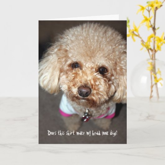 Funny krijgt een goede kaart (Gele Bloem)