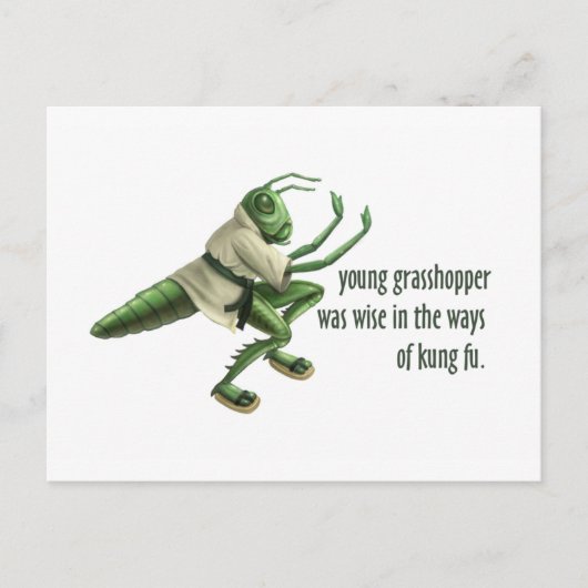 Funny Kung Fu Grasshopper Briefkaart (Voorkant)