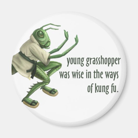 Funny Kung Fu Grasshopper Magneet (Voorkant)