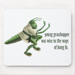 Funny Kung Fu Grasshopper Muismat