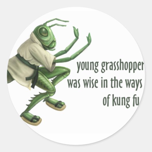 Funny Kung Fu Grasshopper Ronde Sticker (Voorkant)
