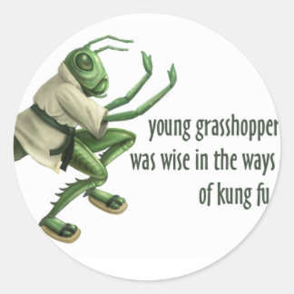 Funny Kung Fu Grasshopper Ronde Sticker