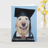 Funny Lab Afstuderen Kaart (Gele Bloem)