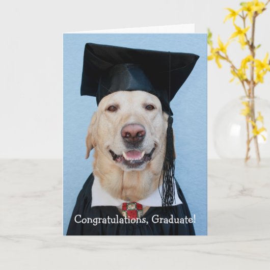 Funny Lab Afstuderen Kaart (Gele Bloem)