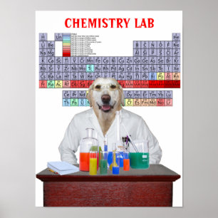 Funny Lab Chemistry Poster voor leraren