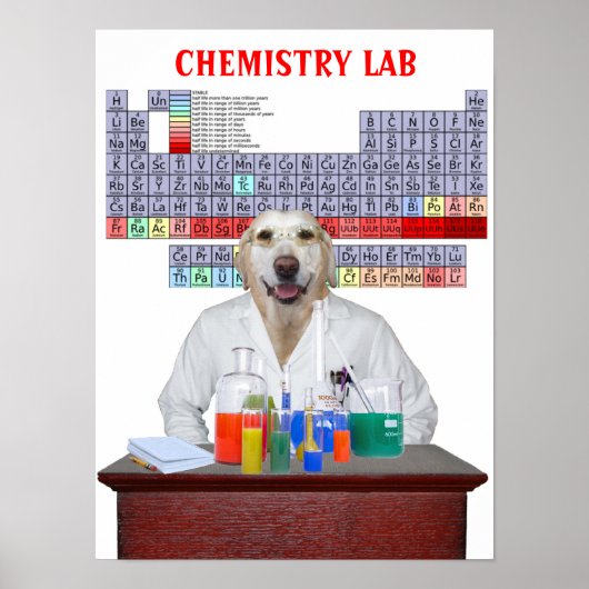 Funny Lab Chemistry Poster voor leraren (Voorkant)