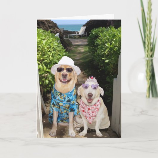 Funny Lab/Dog Valentijn Feestdagen Kaart (Voorkant)