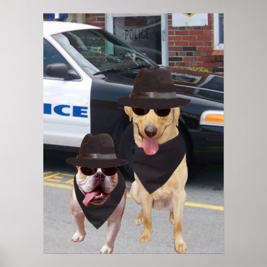 Funny Lab en Bull Dog Poster (Voorkant)
