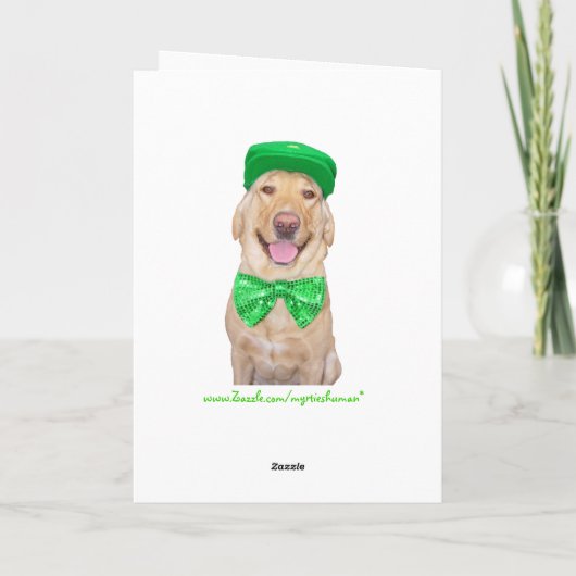 Funny Lab in Groen Kaart (Achterkant)