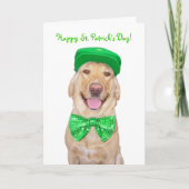 Funny Lab in Groen Kaart (Voorkant)