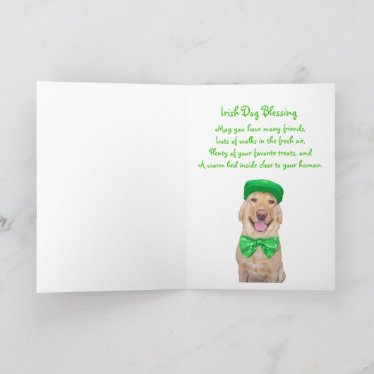 Funny Lab in Groen Kaart (Binnen)