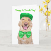 Funny Lab in Groen Kaart (Gele Bloem)