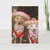 Funny Lab Verjaardag Kaart in het Spaans (Achterkant)