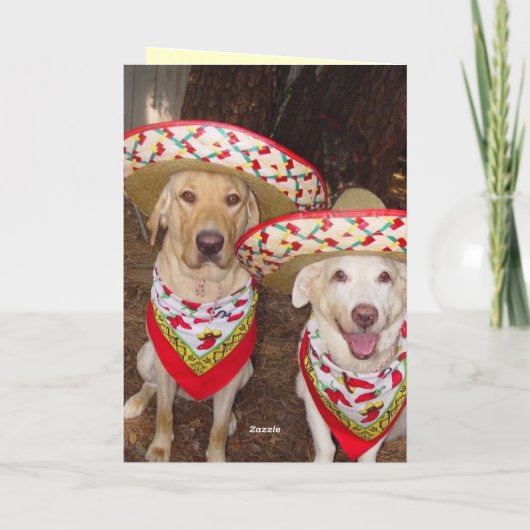 Funny Lab Verjaardag Kaart in het Spaans (Achterkant)