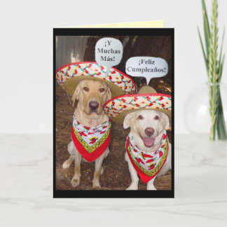 Funny Lab Verjaardag Kaart in het Spaans