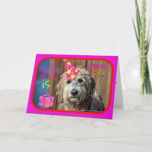 Funny Labradoodle happy birthday greeting card Kaart
